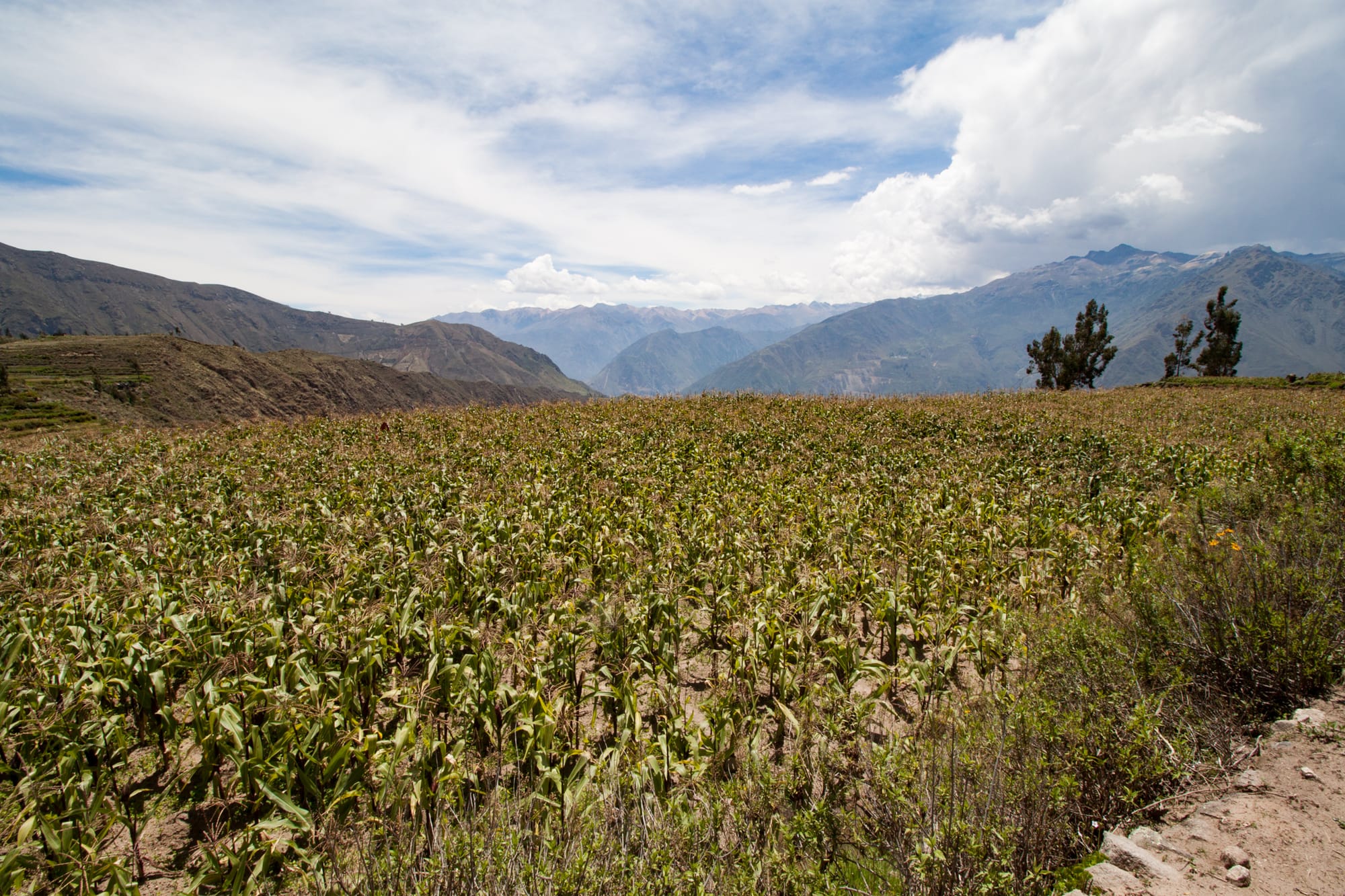 Definitely should have taken a right back there