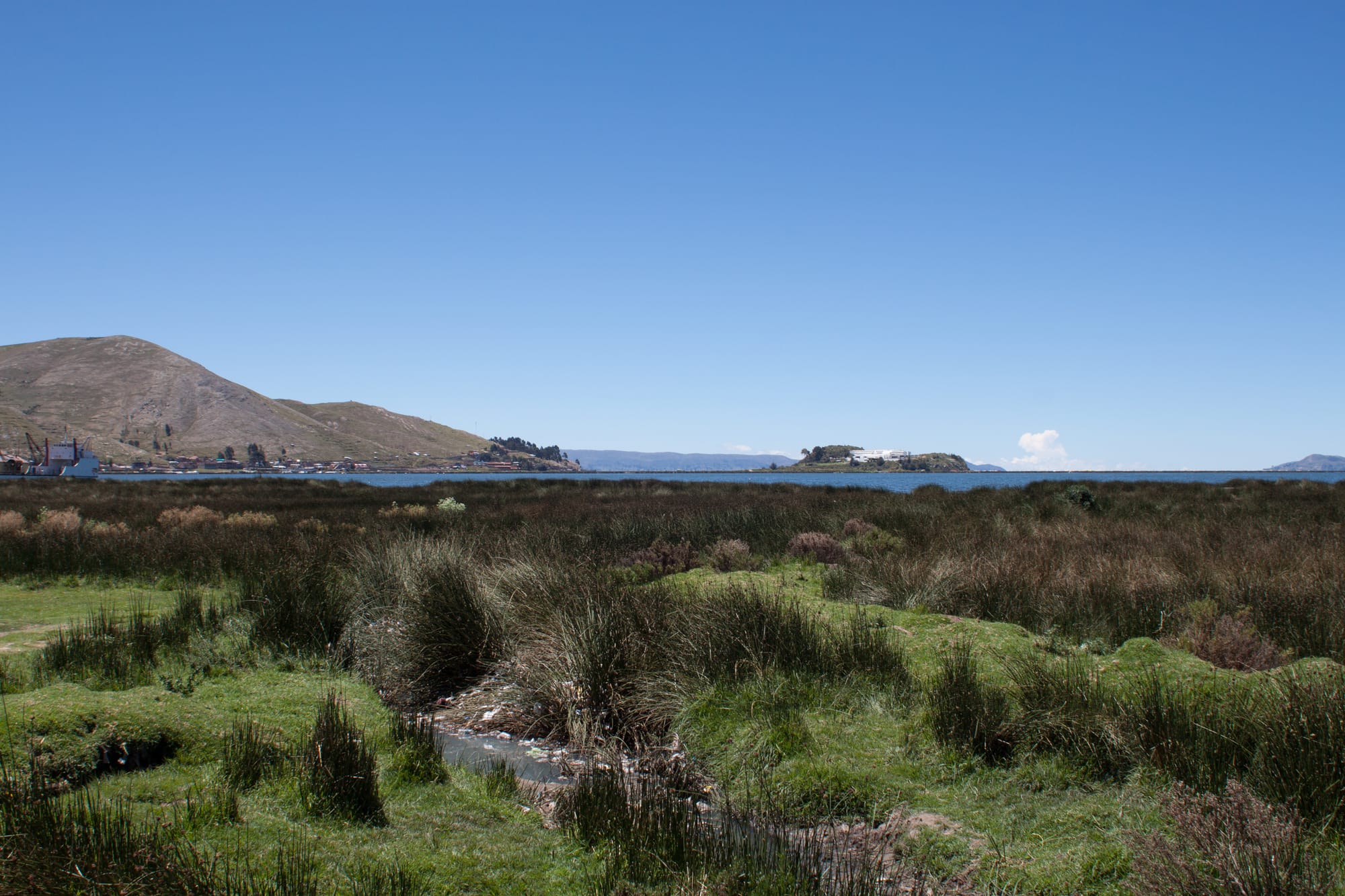 Away from the dock, the storefront is marshy and smells like greywater