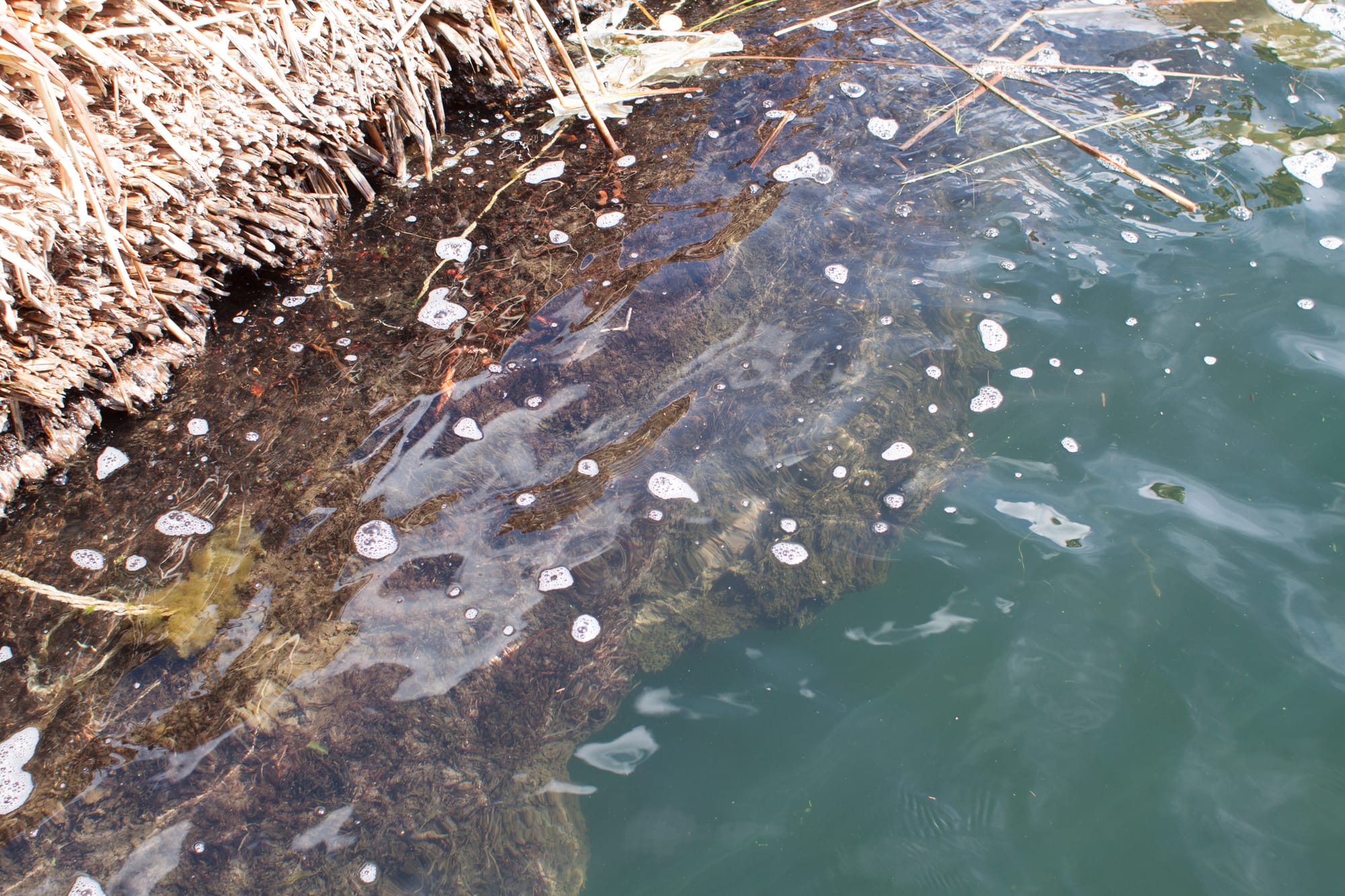 They really are floating