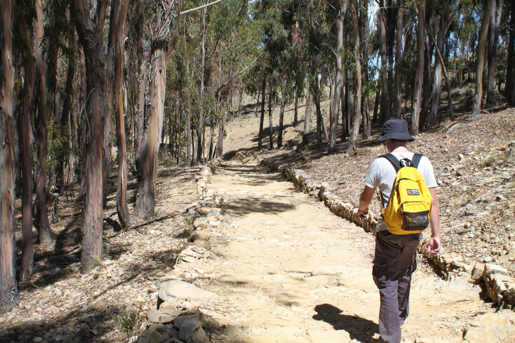 The Flinder's Ranges or Bolivia?