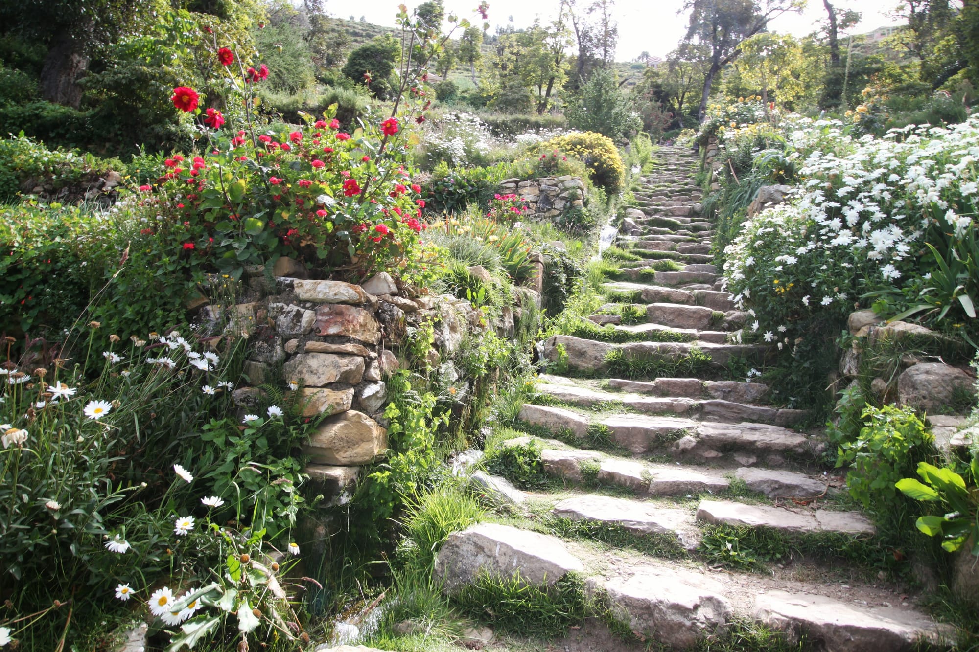 Steps down to the dock