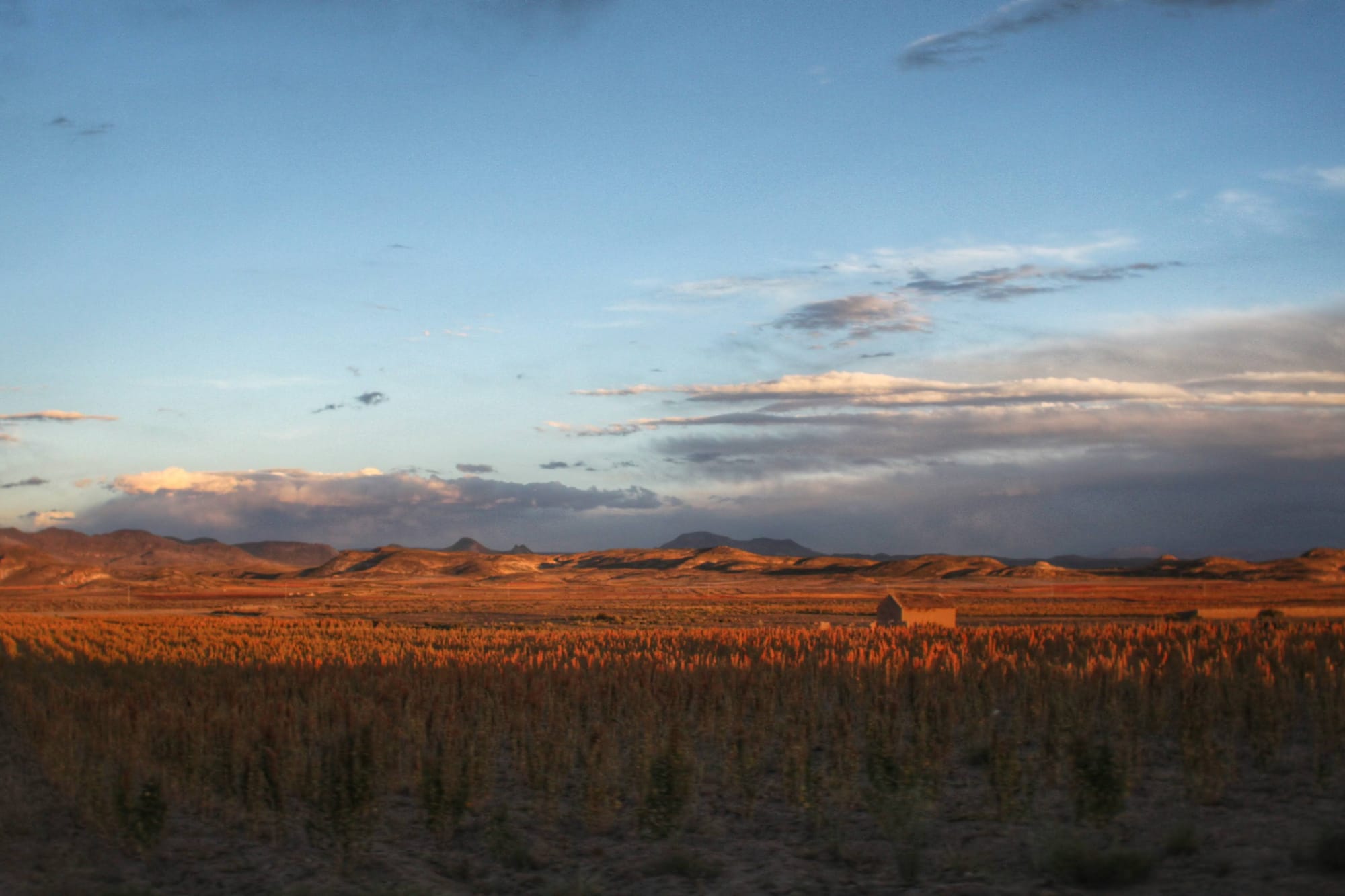 Sunset over the plain