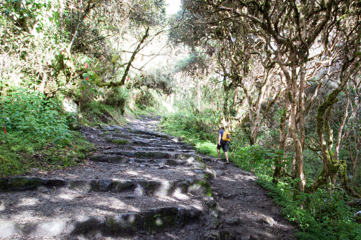 Why do the Inca Trail?!