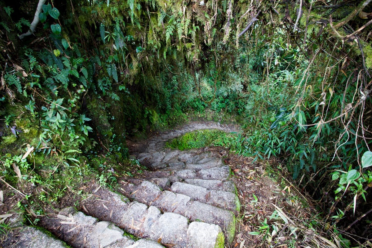 The Inca Trail: Day 3