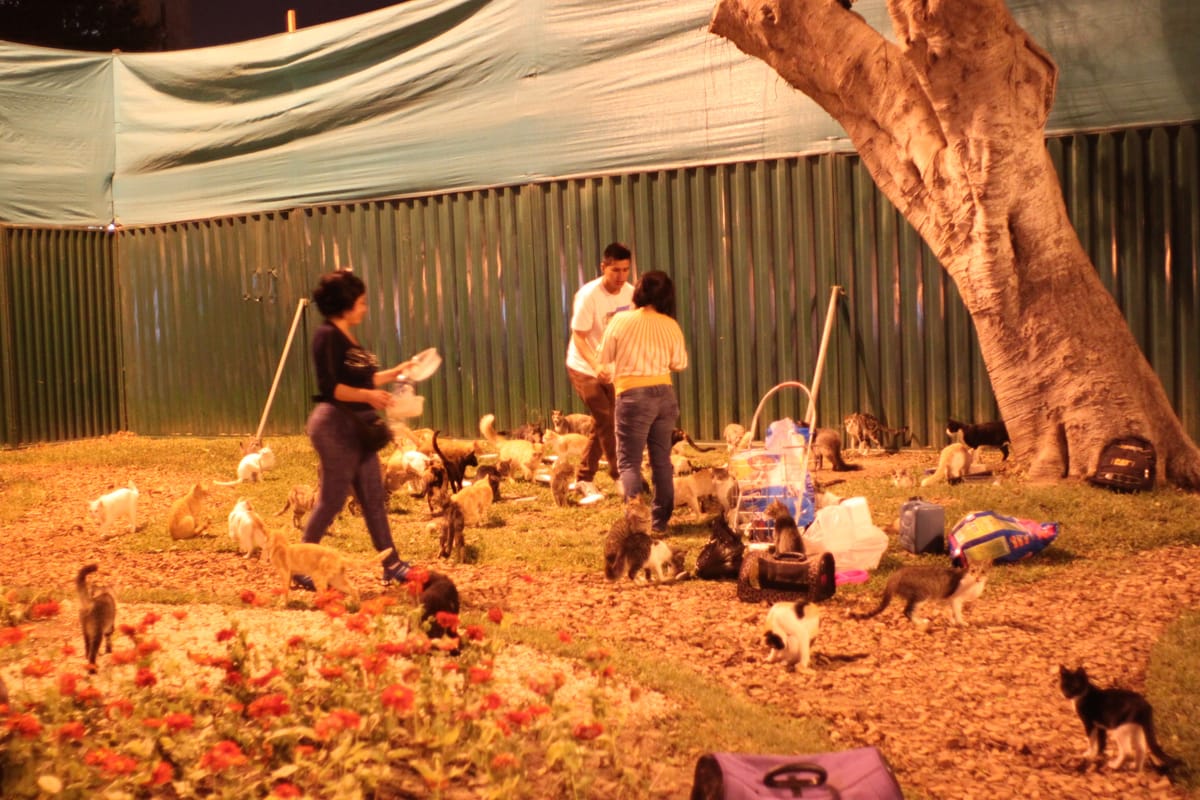 Museo del Convento de San Francisco de Asisi de Lima