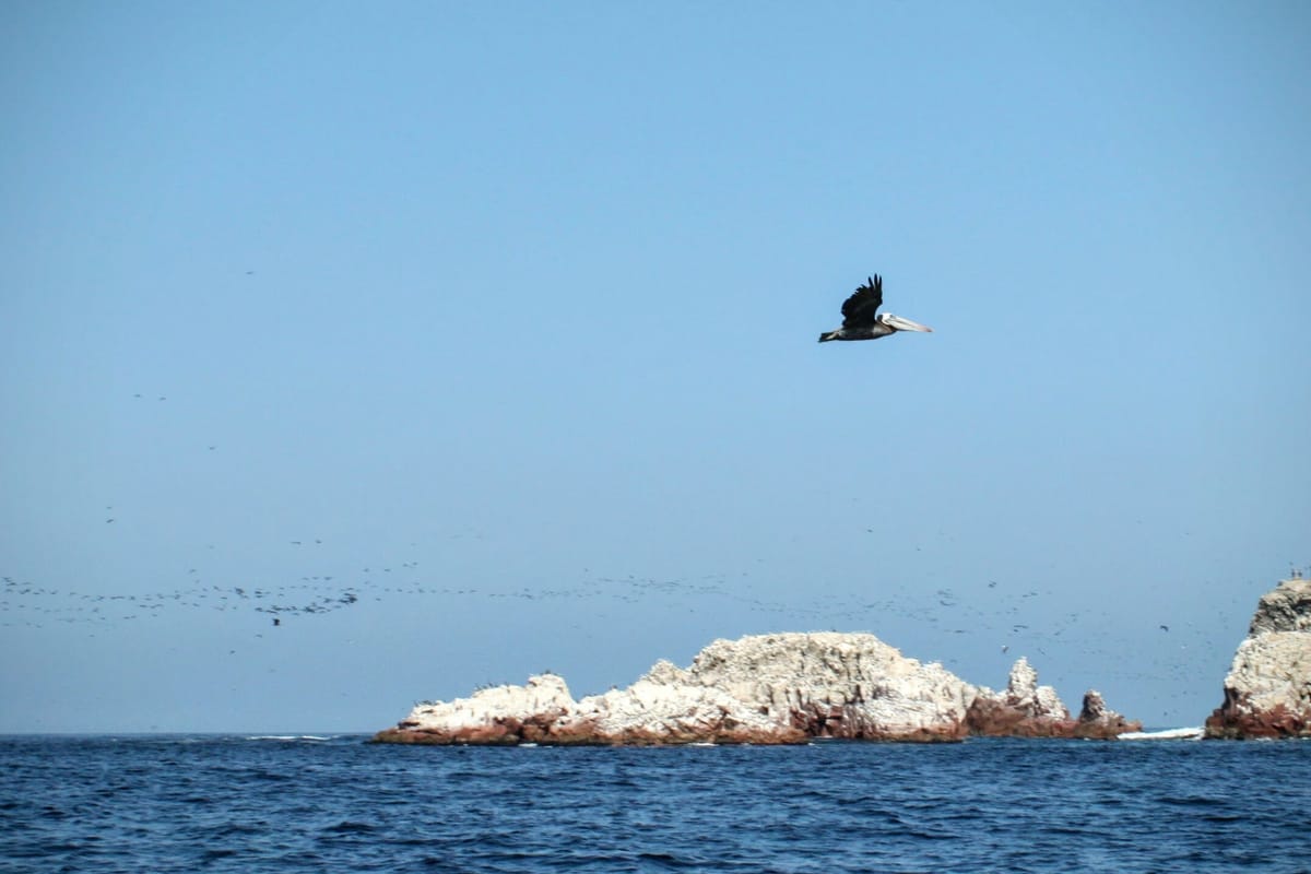 Las Islas Ballestas