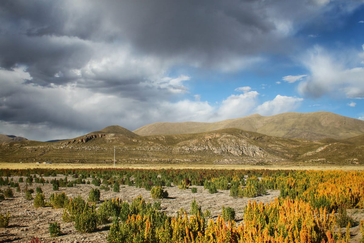Bus to Oruro and Train to Uyuni