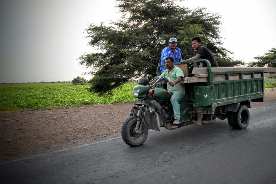 The Road to El Carmen