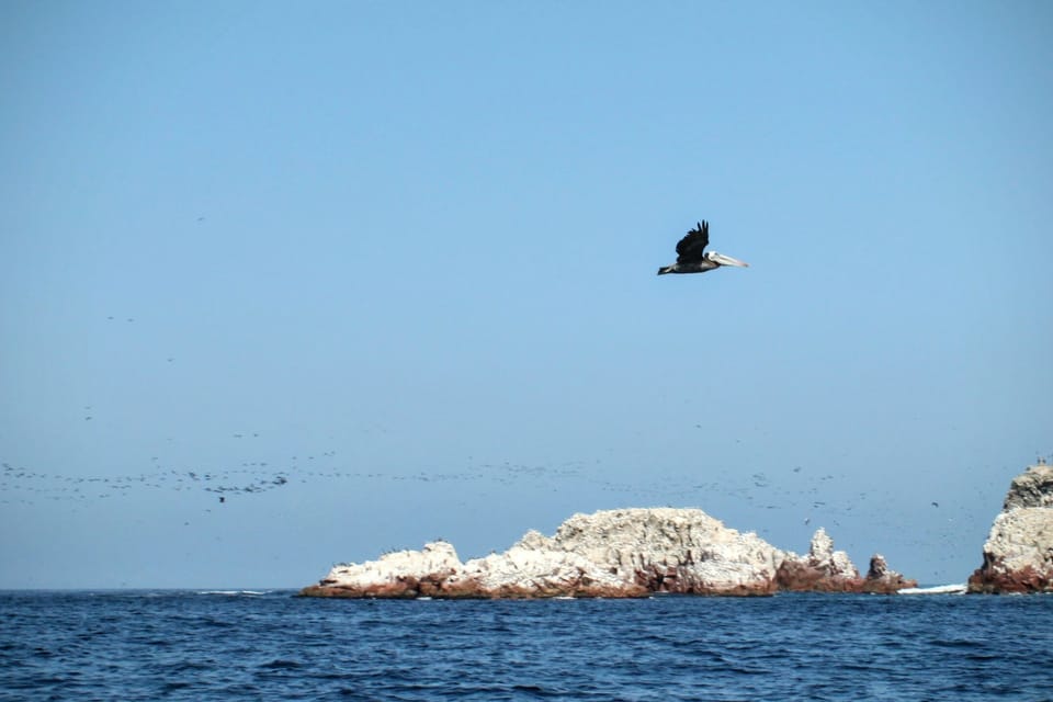 Las Islas Ballestas